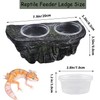 PINVNBY Reptile Feeding Ledge with Suction Cups,Crested Gecko Feeder Ledges