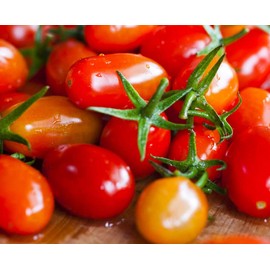 500+ Roma Tomato Seeds - Heirloom Non-GMO USA Grown Premium Seeds for Planting