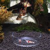 WEAVERBIRD 80mm Aquarium Shrimp Feeder Dish Glass Fish Tank Feeding