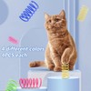 Cat Spring Toys, 80pcs Colorful Cats & Kitten Toys for