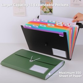 SKYDUE Expanding File Folder, Accordion File Organizer with 13 Pockets for A4/Letter Sized Paper, Accordion Folder with Labels - Document Receipt Organizer for Office, School, Home