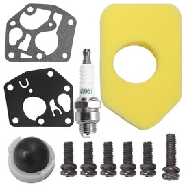 795477 Carburetor Compatible with Briggs & Stratton 795469 794147 699660 794161 498811 with 698369 Air Filter Spark Plug