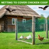 Vogelschutznetz, 2m x 5m Hühnernetz Gartennetz Geflügelnetz Teichnetz Obstschutz Pool