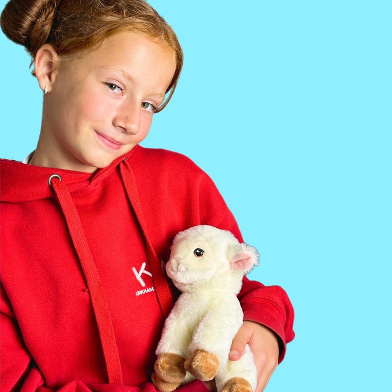 Deluxe Paws Plush Cuddly Soft Eco Toys 100% Recycled (Sheep)