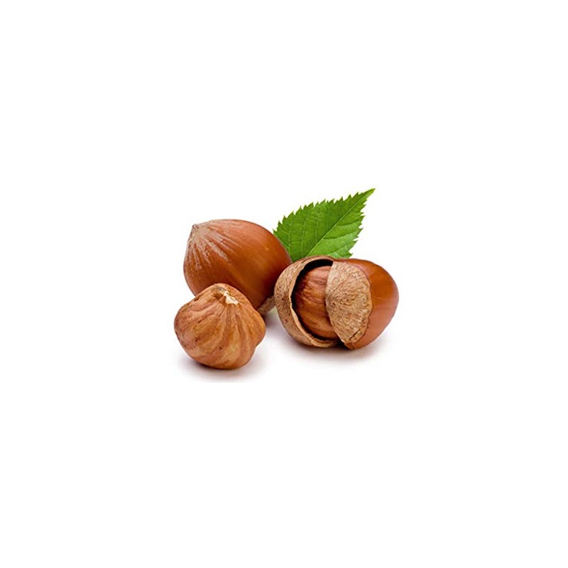 Fiskobirlik Hazelnut Butter Spread 300 gr - Turkish Hazelnut