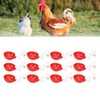 12 Sets Chicken Watering Cup with Tee Connector Automatic Feeding