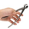 Stainless Steel Knob Cutter Bonsai Cutter Concave Cutter Gardening Tool