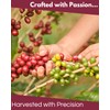 La Cumbre Specialty Coffee Whole Bean Medium Roast, Arabica Beans,