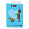 Funny Rude Happy Mothers Day Card For Mum From The