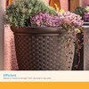 Suncast Sonora 22 Inch Plastic Wicker Indoor or Outdoor Decorative