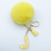 Unpafcxddyig Initial Letter Resin Alphabet Key Rings with Fur Ball