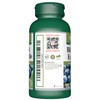 Vorst VORST Bilberry Supplement 8000mg Raw Equivalent (80mg 100:1 Extract)