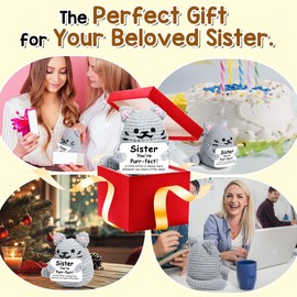 AICase Funny Cat Sister Gifts from Sister, Big Little Adult Older Sister Gift for Women Birthday Mothers Day Graduation Christmas Who Has Everything Emotional Support Crochet Gag Cool Unique Gift