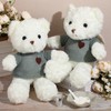 Shappy 2 Sets Cremation Stuffed Bear for Ashes Bear Stuffed