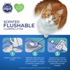 Cat's Pride Lightweight Clumping Litter: Flushable - Powerful Odor Control