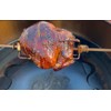 FireDial Baffle Plate Heat Management System for Charcoal BBQ and