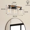 Feohak 3-Light Bathroom Light Fixtures, Farmhouse Bathroom Vanity Light Rustic