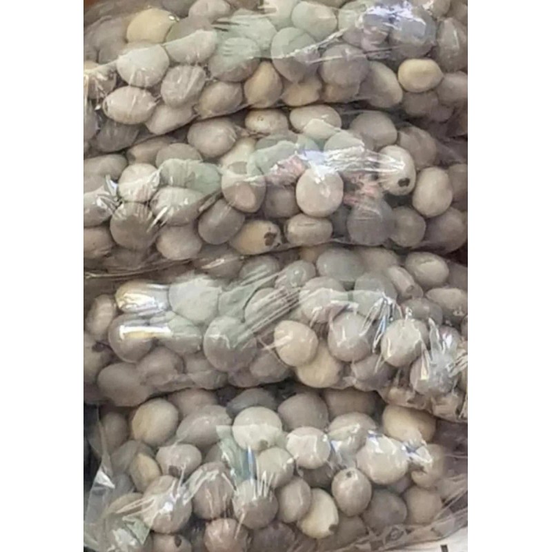 Tatai Tienda Semilla De Quita Maldicion 12 Pz