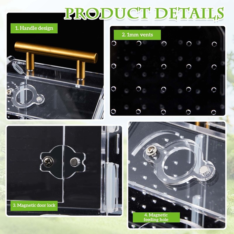 Teenyyou Jumping Spider Enclosure, Acrylic Tarantula Enclosure, Insect Terrarium with