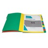 Exacompta 5324E Premium Folder Harmonica Made of Extra Strong Colorspan