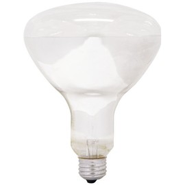 GE Lighting 21229 Soft White 300-watt R40 Light Bulb with Medium Base, 1-Pack