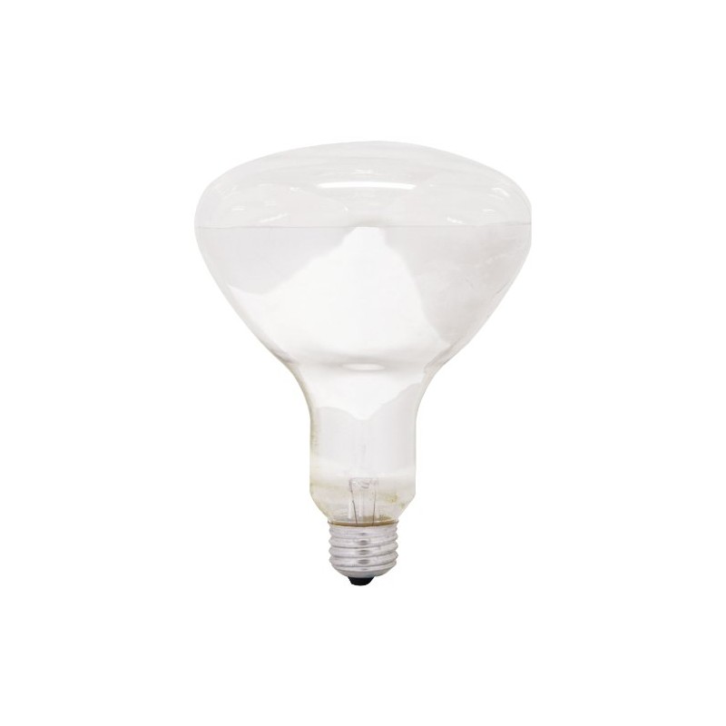 GE Lighting 21229 Soft White 300-watt R40 Light Bulb with