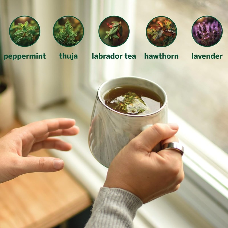 Floem - Peppermint, Lavender & Thuja Tea Bags with Labrador