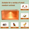 Brooder Box for Chicks, Chicken Brooder Box, Poultry Brooder with