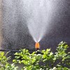 Daycount Pack of 10 Automatic Watering Mini Adjustable Atomizing Nozzle