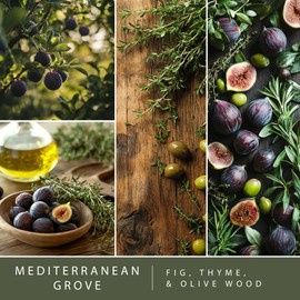 Scentsationals Wax Melts, Wax Cubes Strong Scent – Getaway Collection Mediterranean Grove – Long Lasting Scented Melts for Warmer, 10oz (24-Cubes)