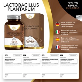 LN Lactobacillus Plantarum | 90 L-Plantarum Capsules - 5 Billion CFU High Strength Probiotic per Serving | Lactobacillus Probiotics | Non-GMO, Gluten & Allergen Free | Made in The UK