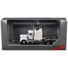DCD Kenworth W900 White 1/87 (HO) Sleeper Cab Plastic Model