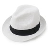 DRESHOW Women's Panama Hat Wide Brim Straw Summer Fedora Straw