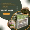 CIICRO Moss for Plants Indoor, 8OZ Faux Moss for Crafts,
