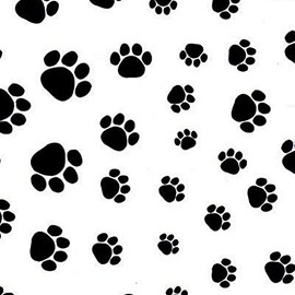 Puppy Paw Tissue Paper - 20in.x30in. - 36 Sheets