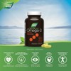 Natures Way NutraSea DHA Softgels Menta Fresca 60 c -