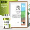 Organic Maca Root Capsules - 11000mg High Strength - 180