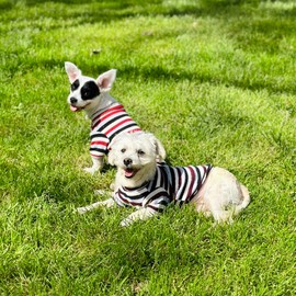 Generic Kesoniti 2 Pack Cat Dog T-Shirts Cat Dog Clothes Soft Cotton for Small Dogs Puppy Clothes Lightweight (#2 2Pack (Maroon&CornellRed), Medium)