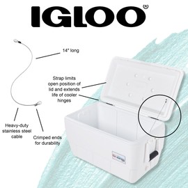 Igloo Cooler Cable Lid Strap, 14 Inch - Heavy Duty Stainless Steel