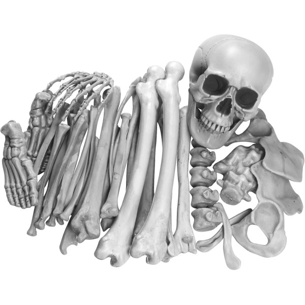 Branded 35 Pieces Skeleton Bones for Halloween Decoration - Plastic