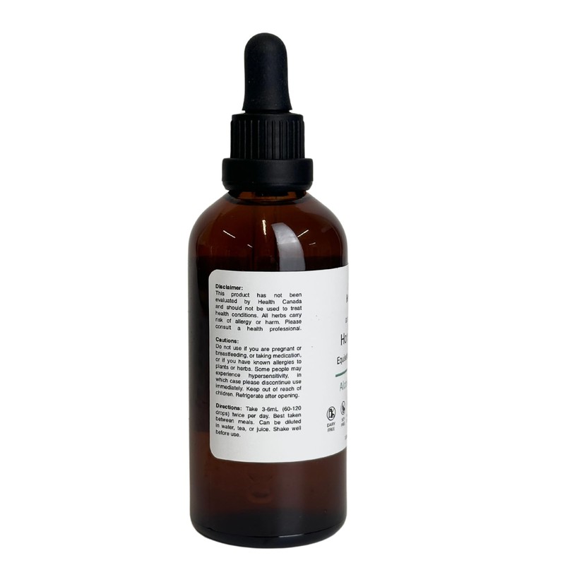 Herbity Horsetail Tincture – Alcohol-Free Herbal Extract for Hair, Skin,