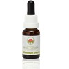 ABFE Mountain Devil 15ml