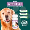 RUILAND Artoflex Combo Doble Suplemento para Perros 2 Packs 60