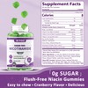 Sugar Free Nicotinamide 500mg Gummies, (Flush Free Niacin) Vitamin B3