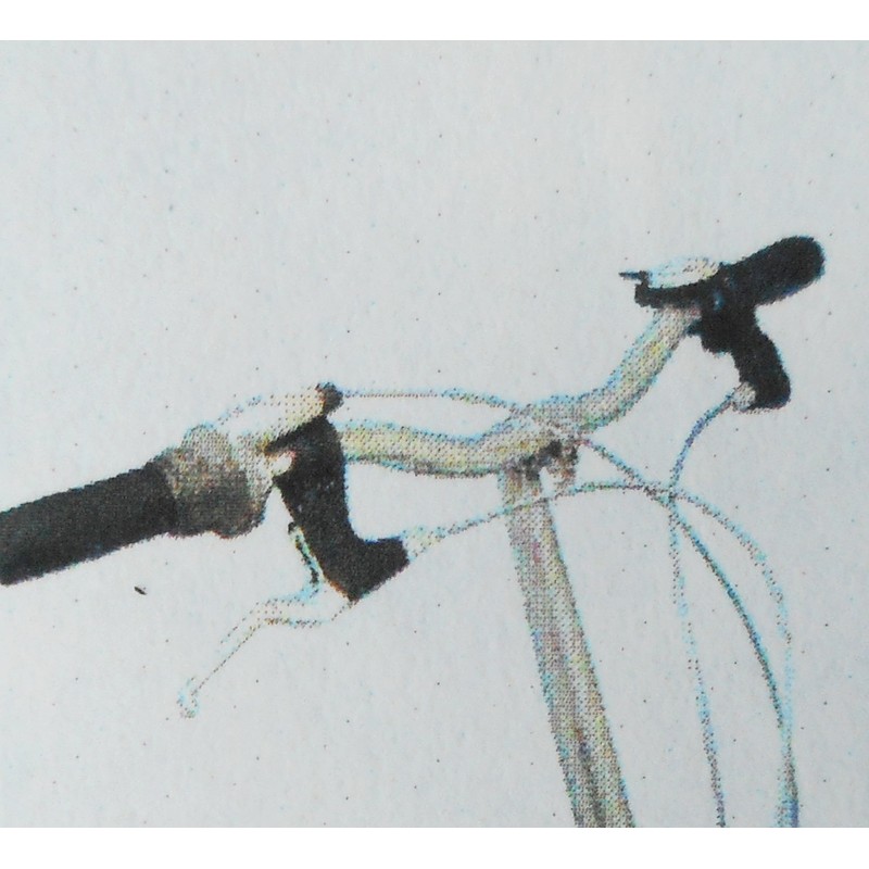 Bicycle Grip Grip Shift Grip 21776