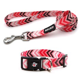 azuza Dog Collar and Leash Set, Fun Patterns, Adjustable Nylon Collar with Matching Leash for Small Medium and Large Dogs
