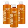 Elastine Protein Clinic 10000 High Protein Nutrition Shampoo Floral Musk Fragrance, 1L, 3 Pieces / 엘라스틴 프로틴클리닉 10000 단백질 고영양 샴푸 플로럴 머스크 향, 1L, 3개