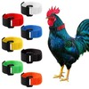 14 Pcs No Crow Rooster Collar to Stop Crowing, Soft