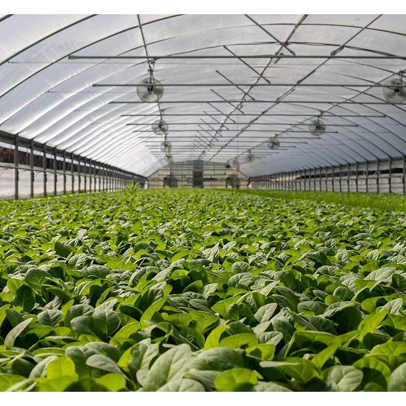 Garden Netting Pest Barrier: 10'x20' Fine Bug Netting for Garden