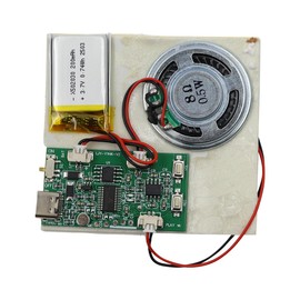 Nicear Recordable Sound Chip Plays Multiple Recordings Push Button Control DIY Voice Recorder